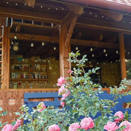 مبيت وإفطار Valea Tirnei Rose Hip Hill Farm المظهر الخارجي الصورة