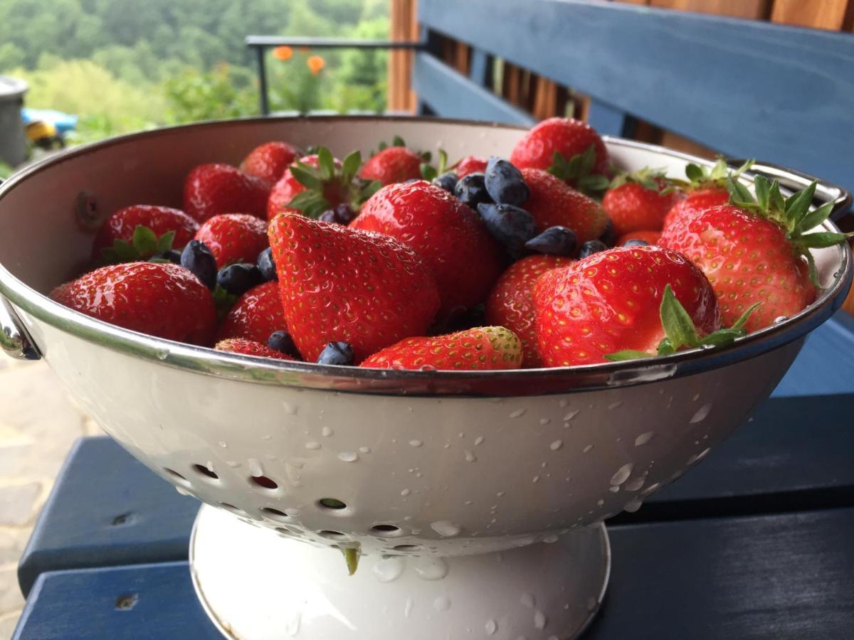 مبيت وإفطار Valea Tirnei Rose Hip Hill Farm المظهر الخارجي الصورة
