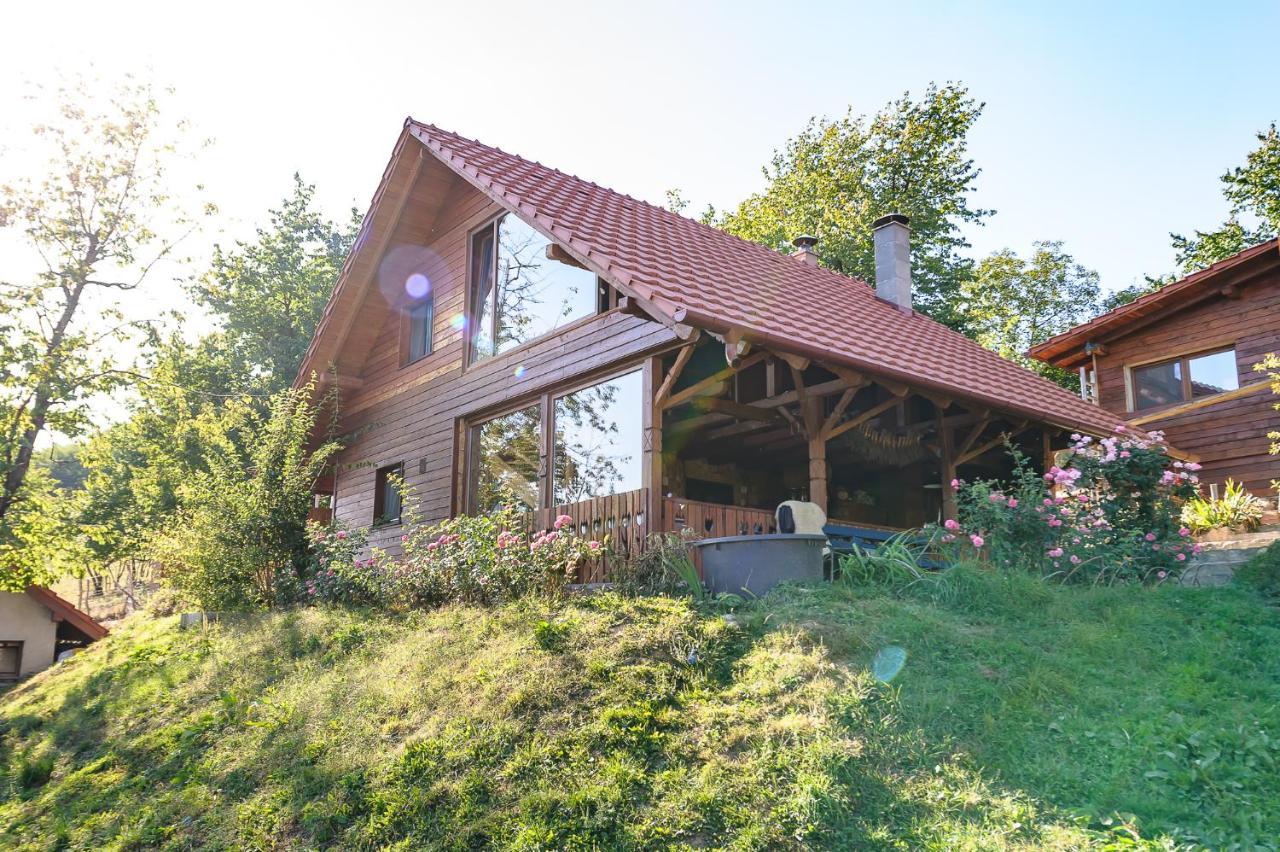 مبيت وإفطار Valea Tirnei Rose Hip Hill Farm المظهر الخارجي الصورة