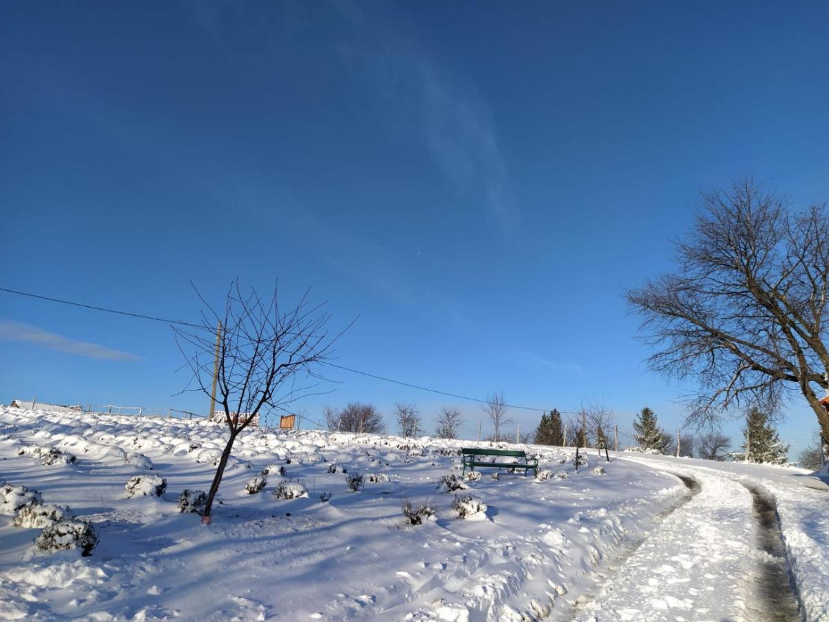 مبيت وإفطار Valea Tirnei Rose Hip Hill Farm المظهر الخارجي الصورة