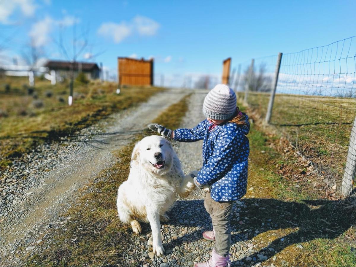 مبيت وإفطار Valea Tirnei Rose Hip Hill Farm المظهر الخارجي الصورة