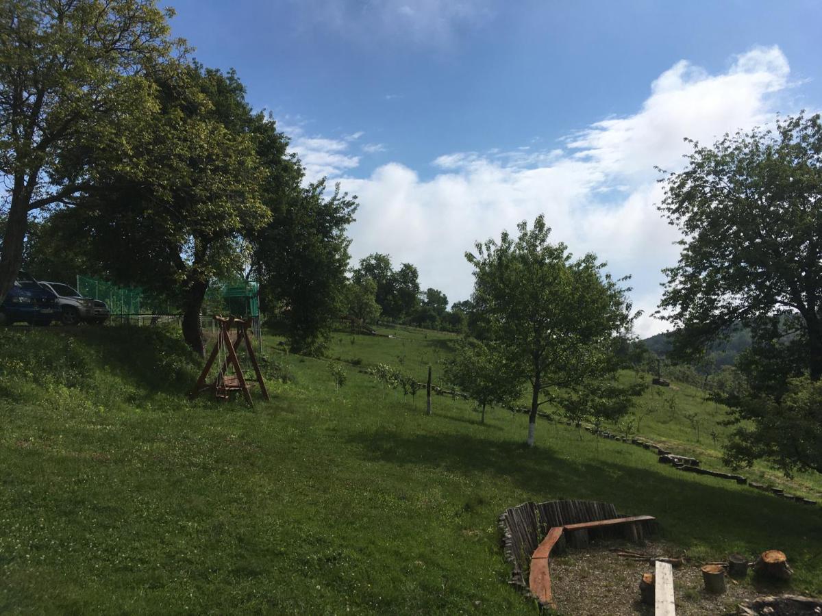 مبيت وإفطار Valea Tirnei Rose Hip Hill Farm المظهر الخارجي الصورة