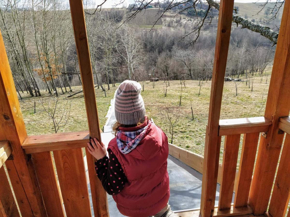 مبيت وإفطار Valea Tirnei Rose Hip Hill Farm المظهر الخارجي الصورة