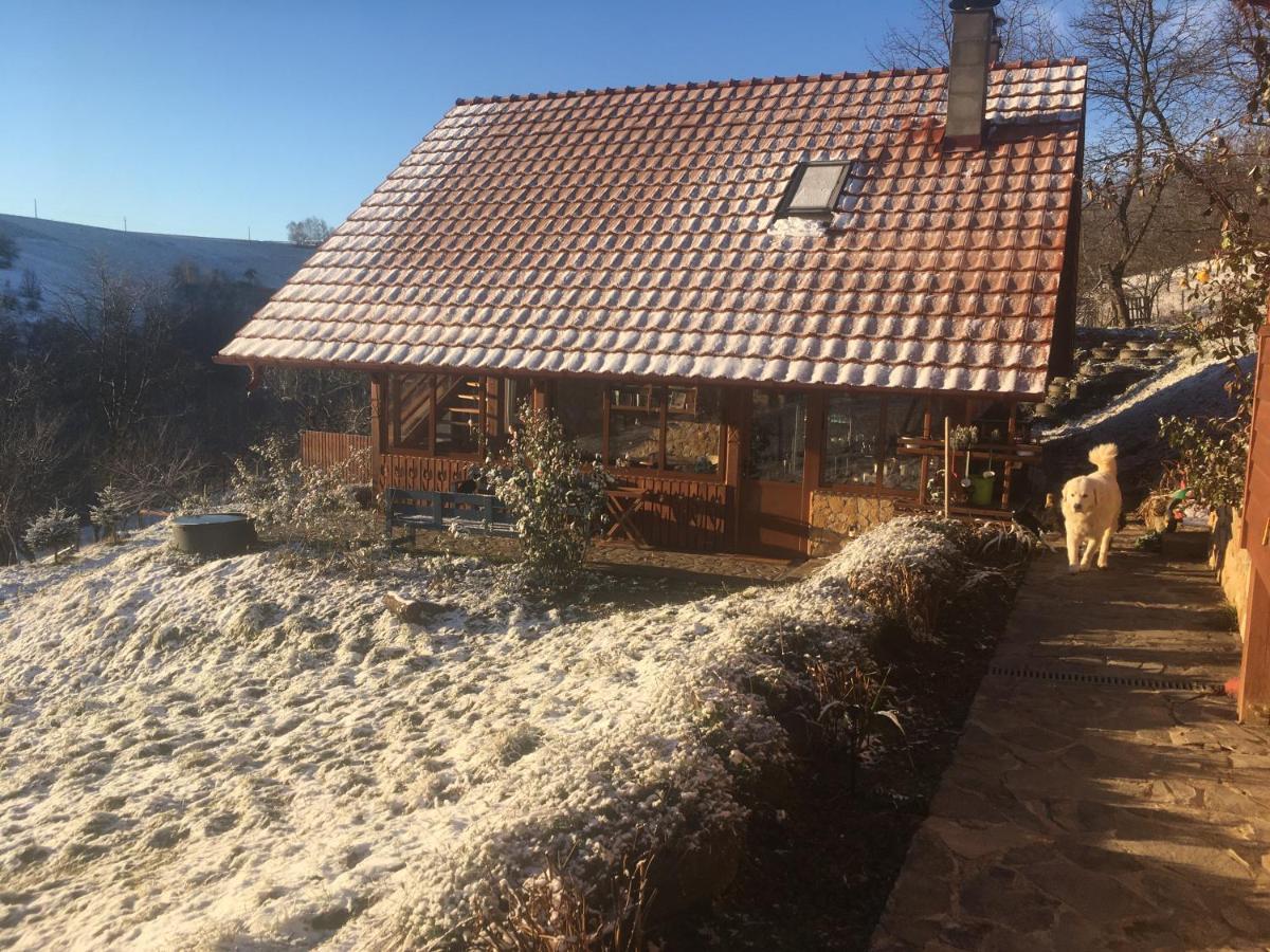 مبيت وإفطار Valea Tirnei Rose Hip Hill Farm المظهر الخارجي الصورة